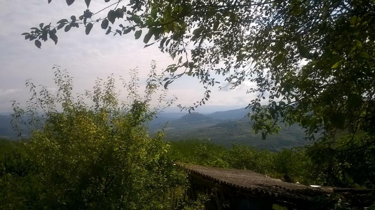 Holiday Home Vižinada Extérieur photo